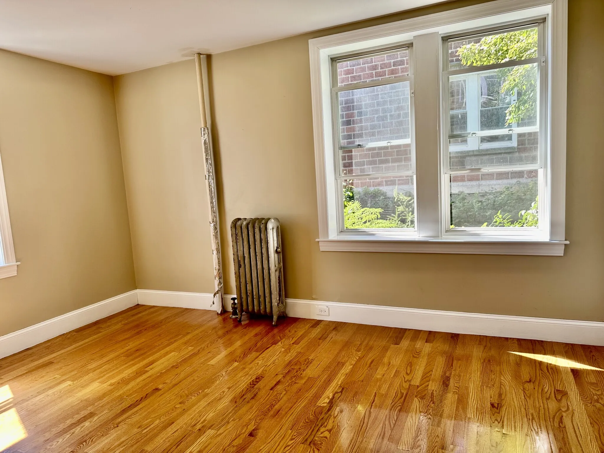 72 Egmont St, North Brookline