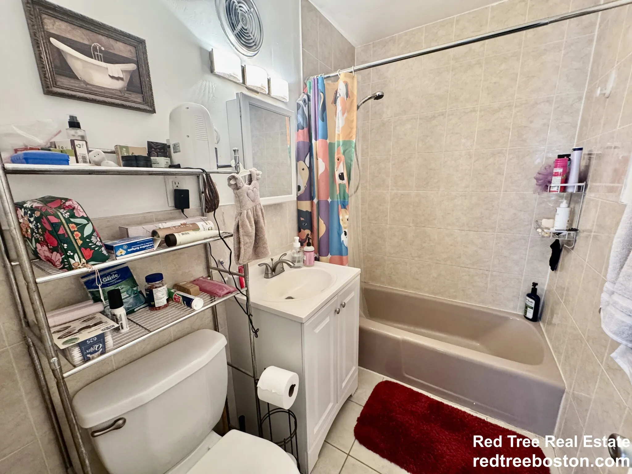 2 Larose Pl, Brighton