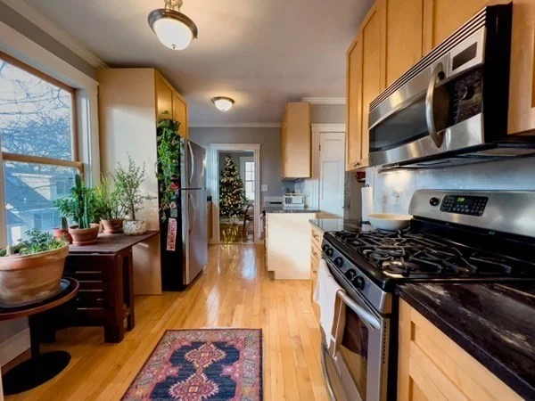 23 Goldsmith St, Jamaica Plain