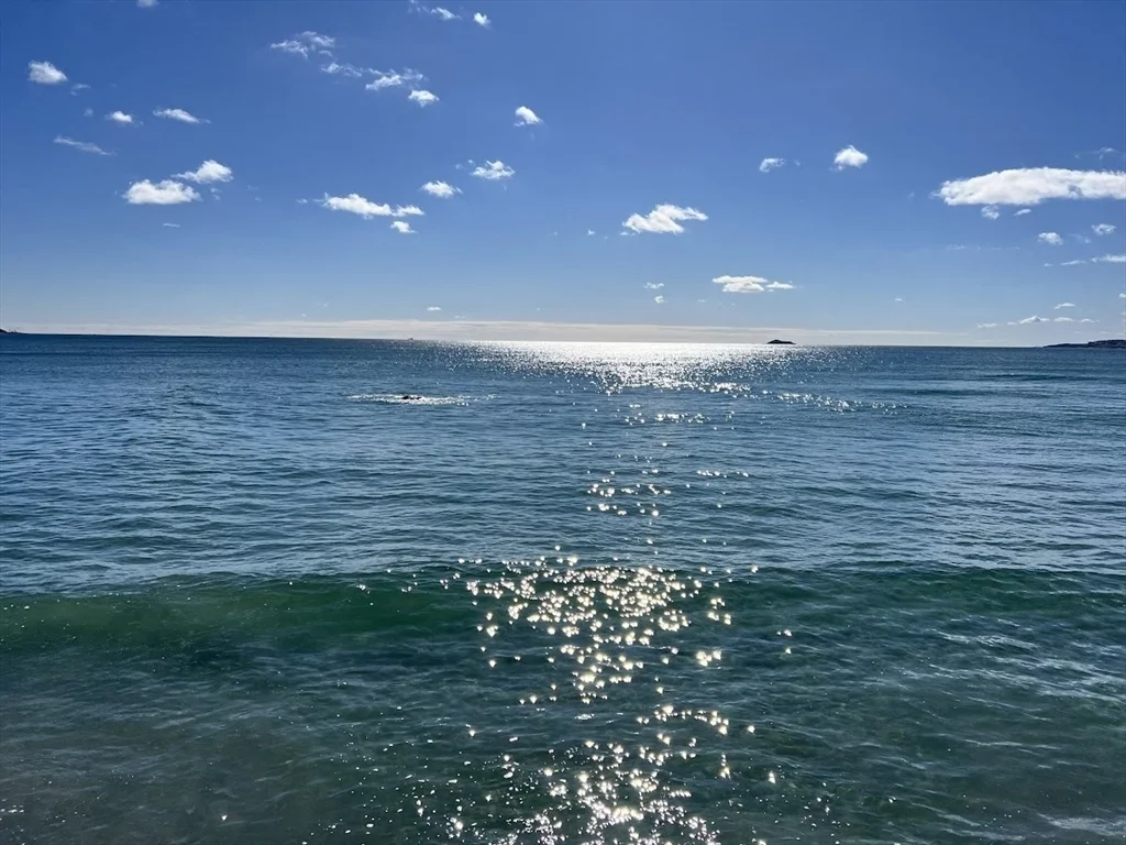 300 Lynn Shore Dr, Lynn