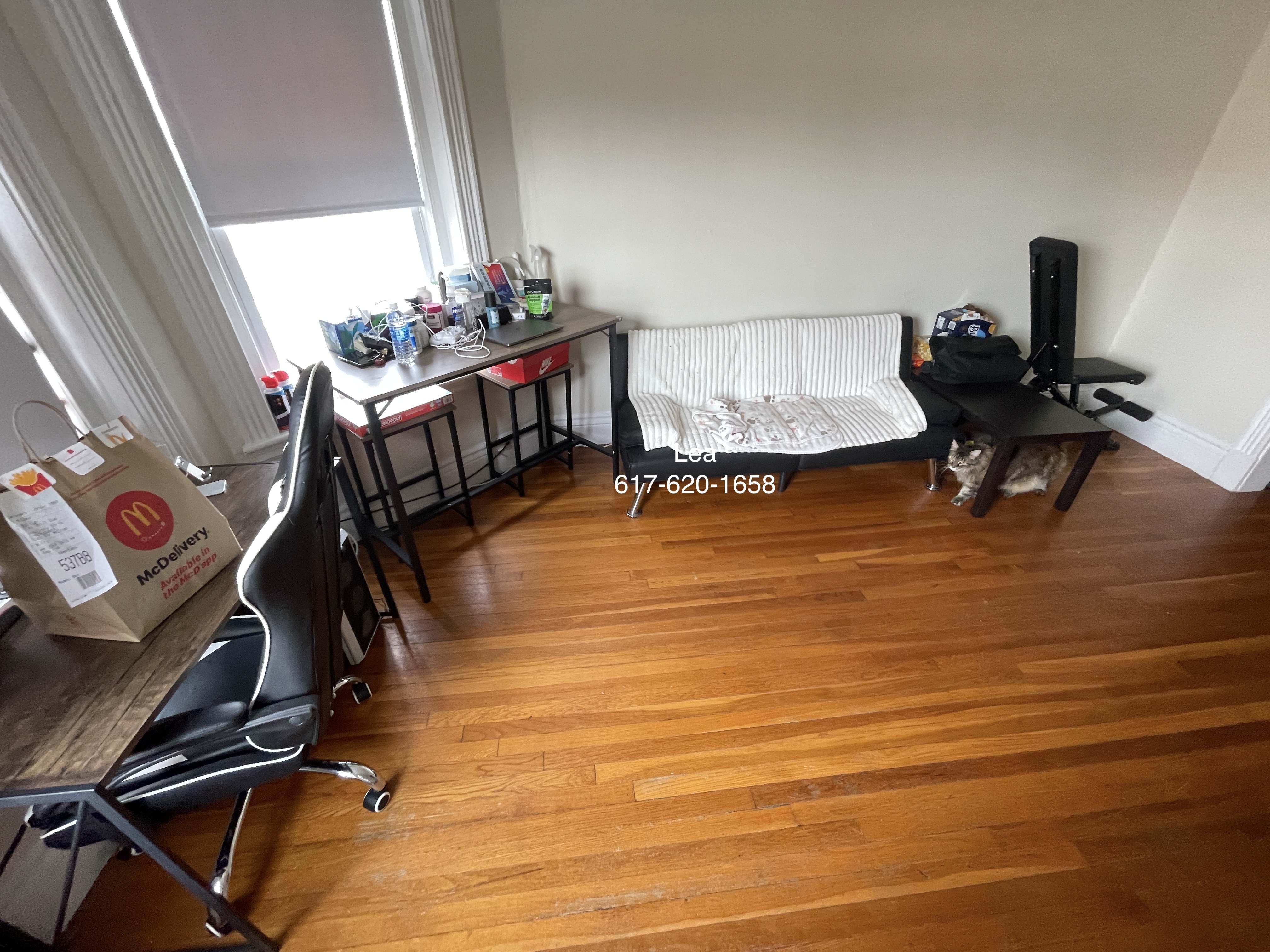 5 Walbridge St, Brighton