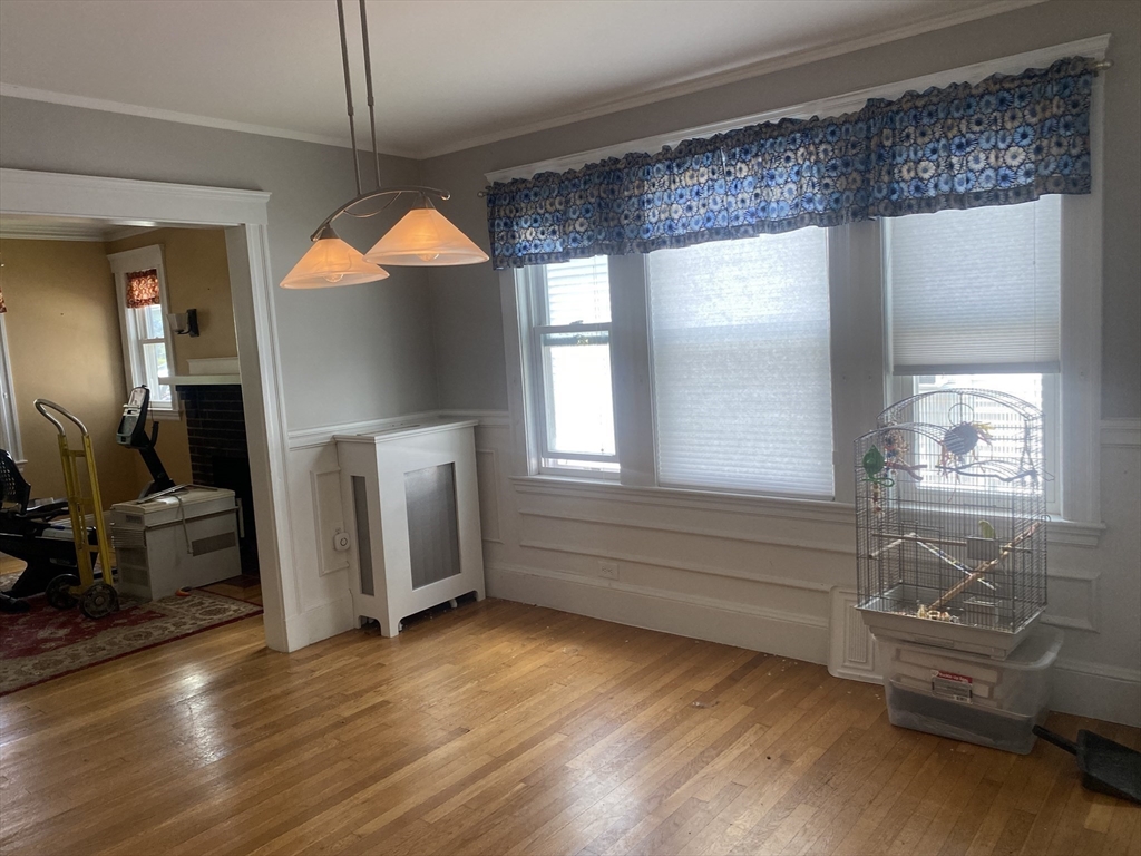 519 Belmont St, Belmont