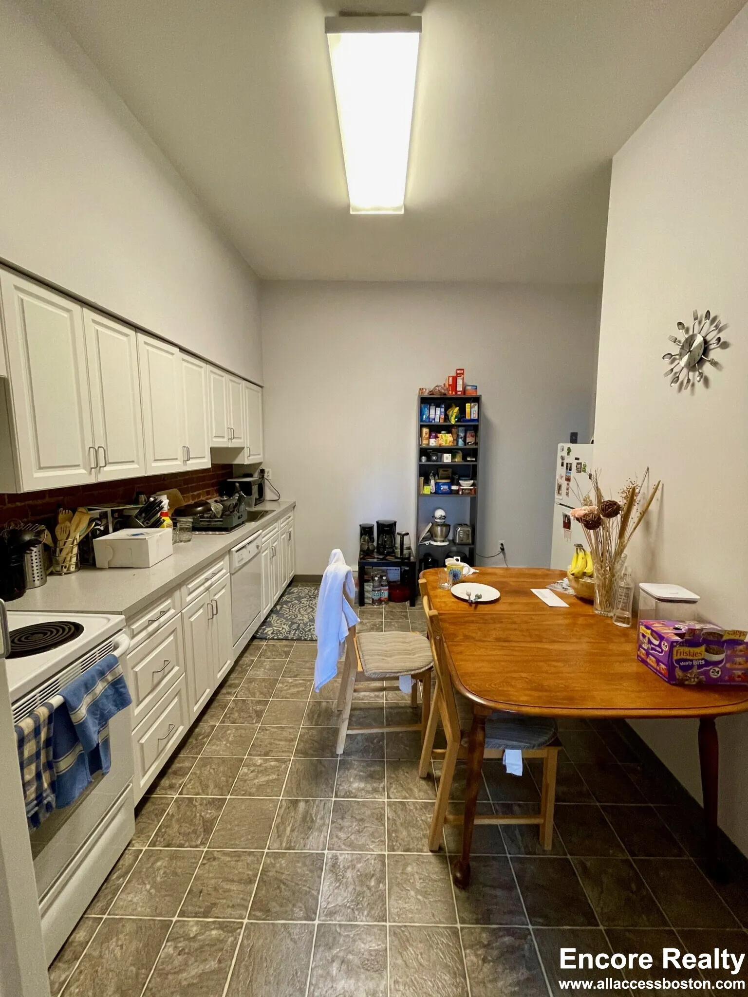 15 Stearns Rd, Coolidge Corner