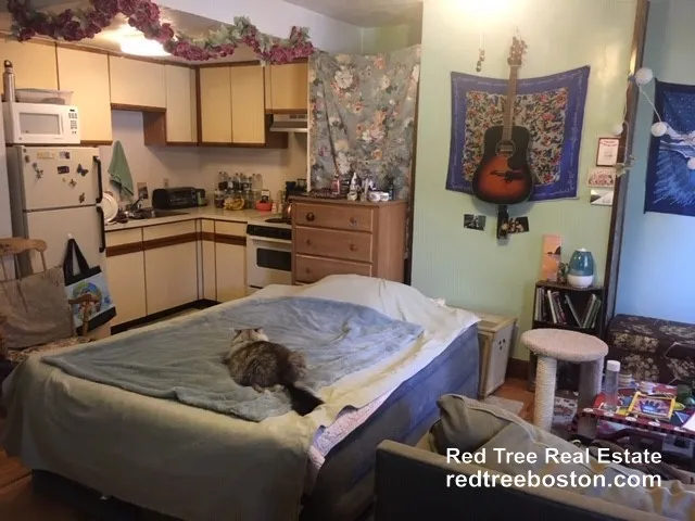 471 Massachusetts Ave, Roxbury