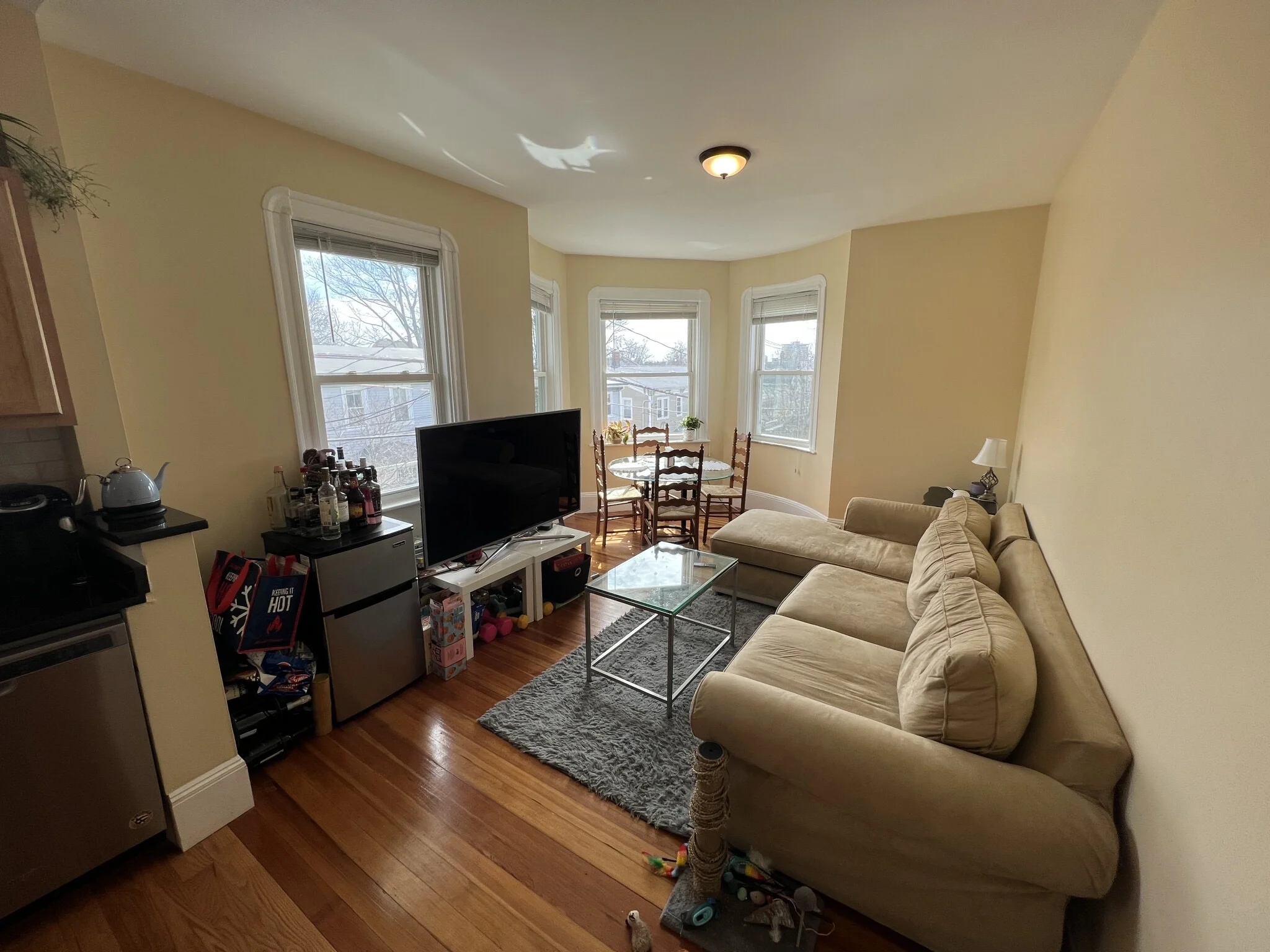 48 Lowell St, Spring Hill