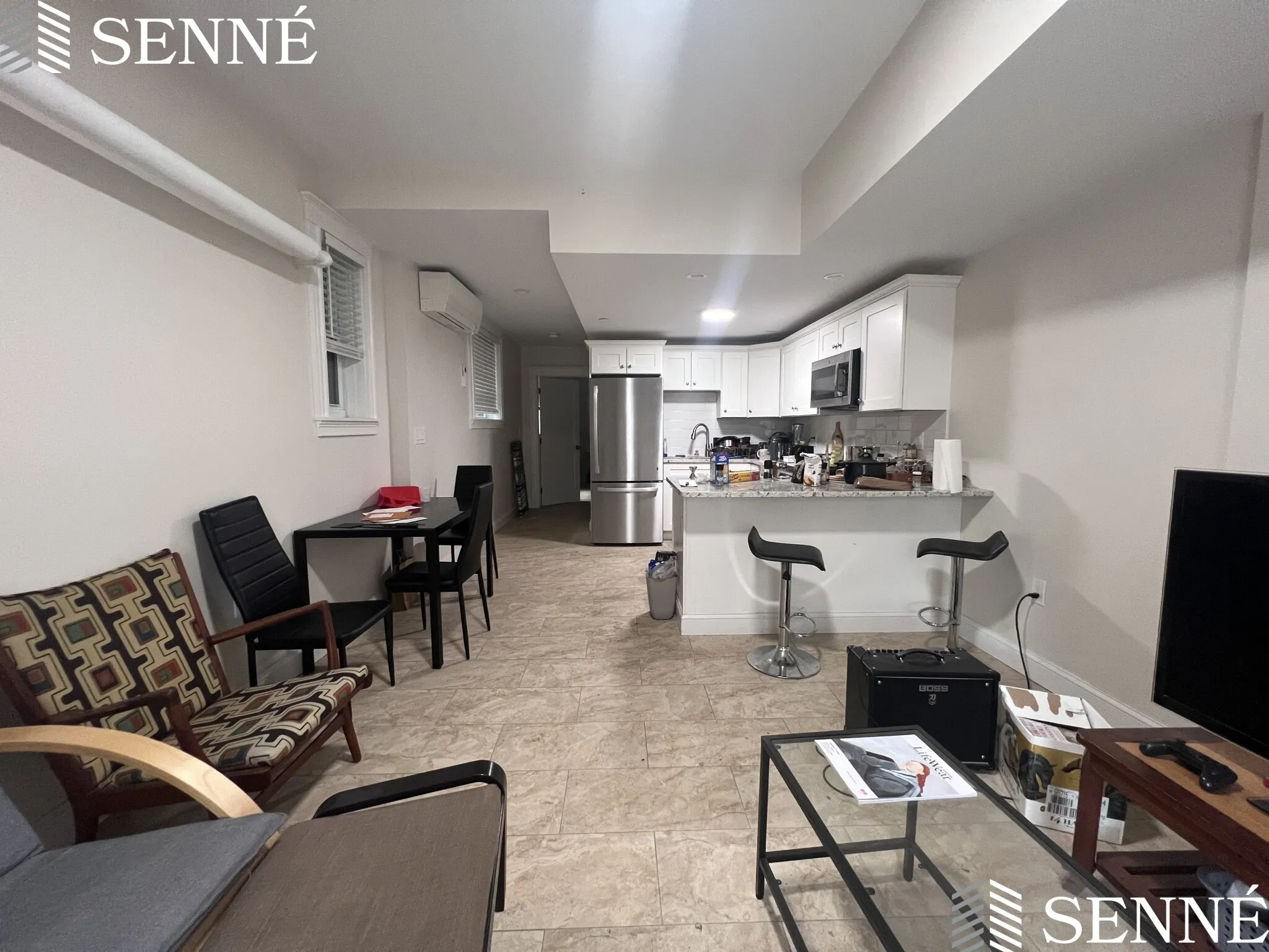 3 Linnaean St, Neighborhood Nine