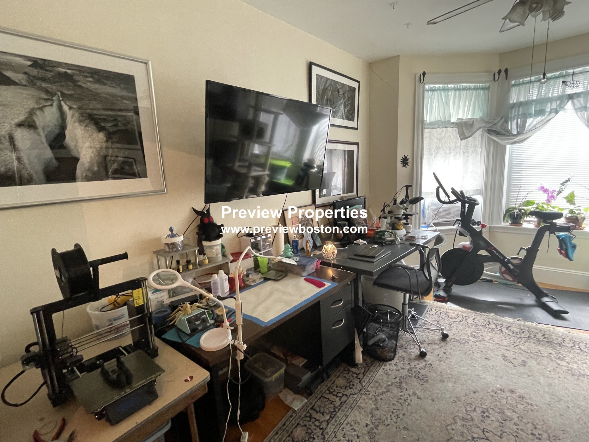 57 Brighton Ave, Brighton