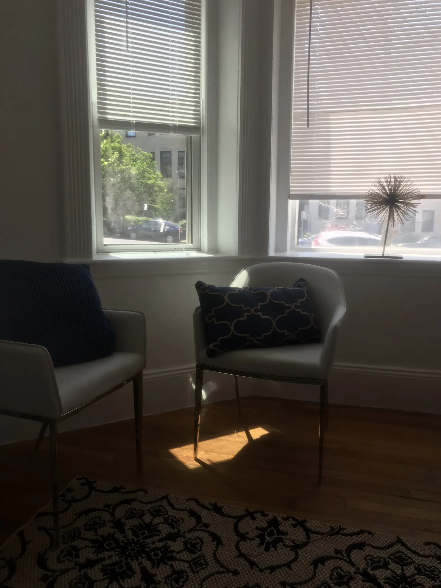 463 Park Dr, Fenway
