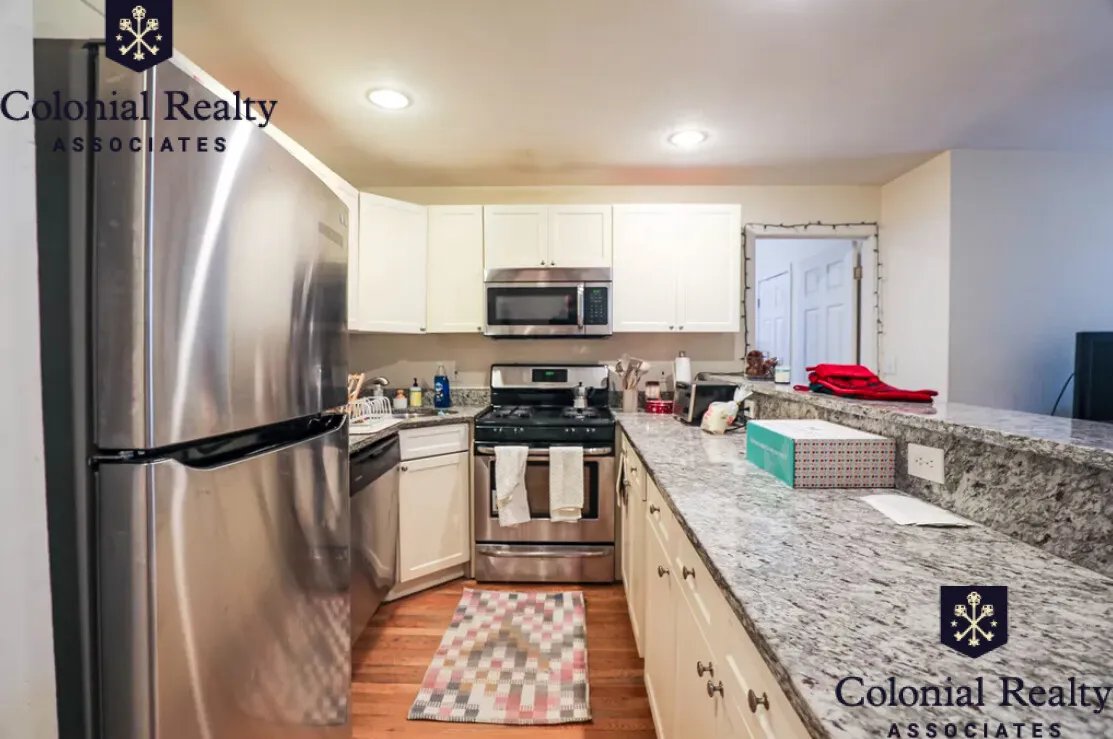 56 Egmont St, North Brookline