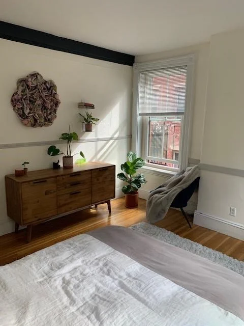 8 Fayette St, Back Bay