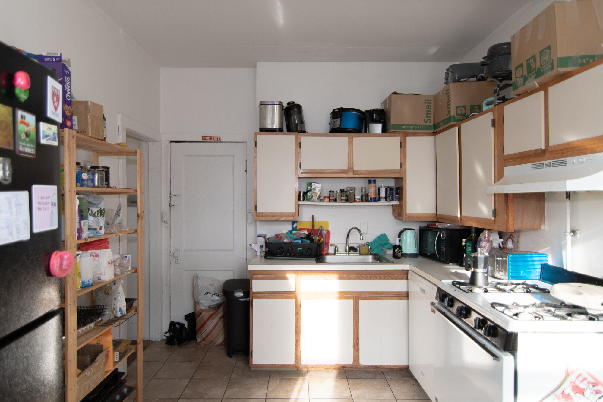 48 Brighton Ave, Brighton