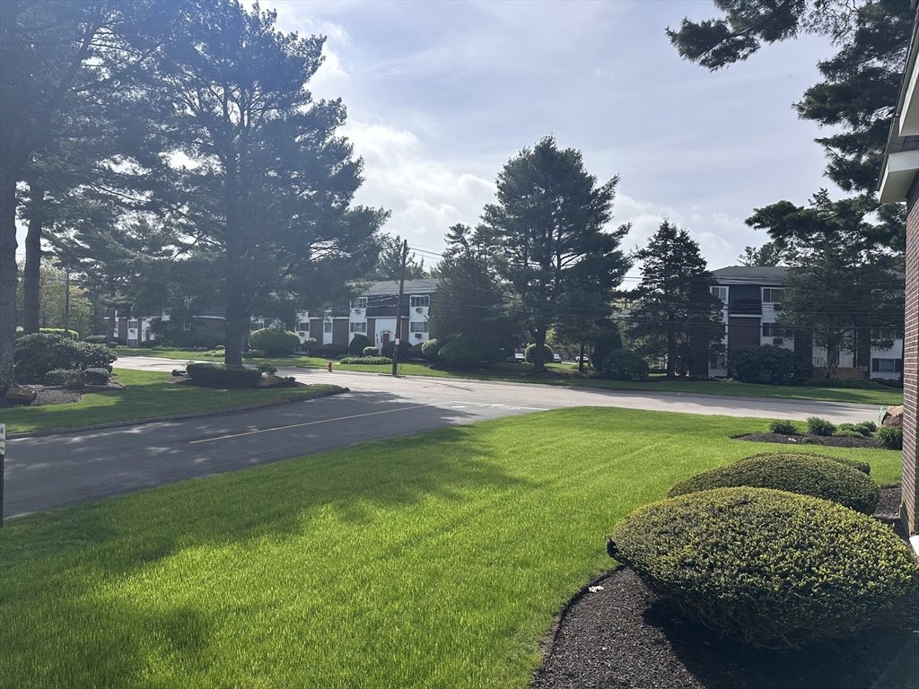 41 Will, Canton Junction