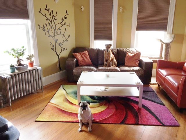 2 bed, 1 bath apartment for rent at 604 Main St Unit 2, Medford — photo 1 of 14