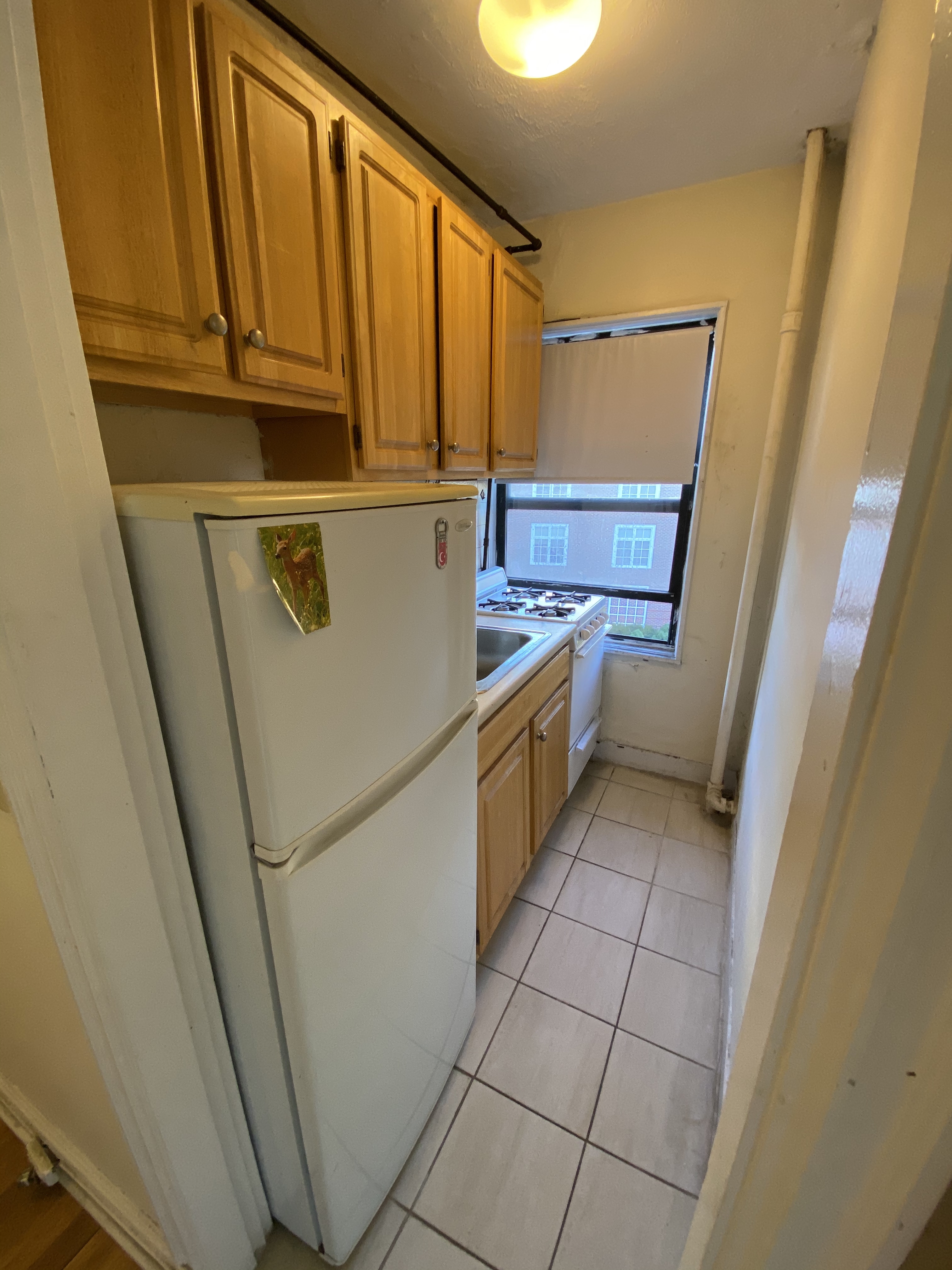1 bed, 1 bath apartment for rent at 1200 Massachusetts Ave Unit 38-E, Harvard Square — photo 1 of 10