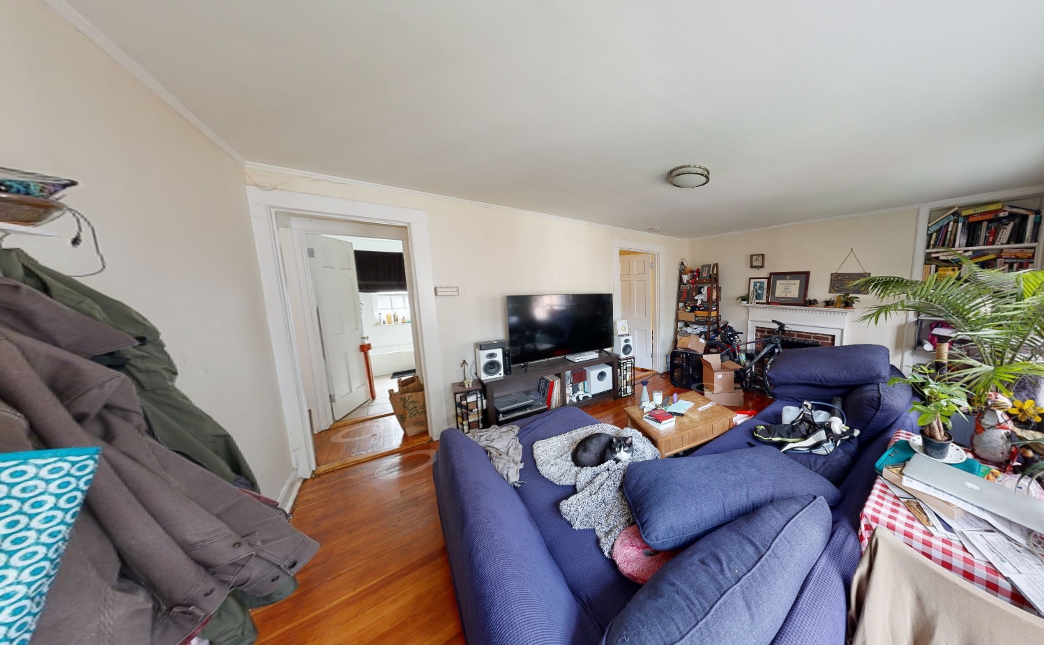 1 bed, 1 bath apartment for rent at 38 Gibson St Unit 6DR, West Cambridge — photo 1 of 9