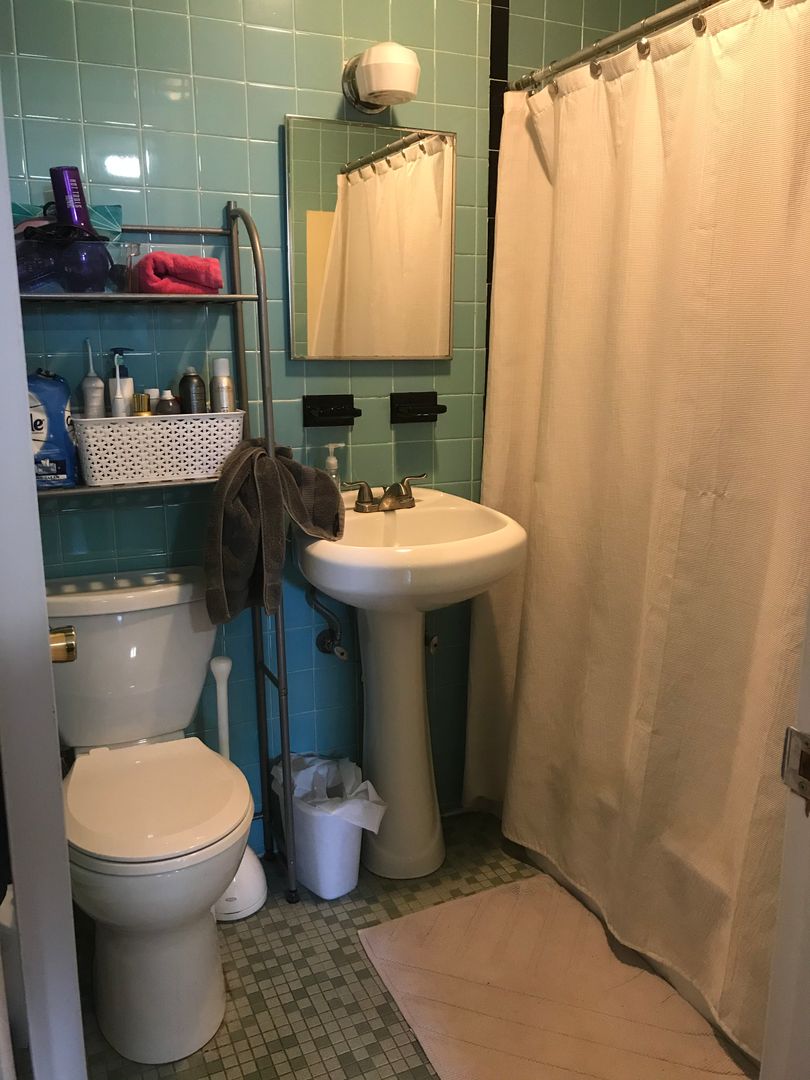 1 bed, 1 bath apartment for rent at 260 Summer St Unit 1, Spring Hill — photo 10 of 10