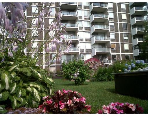 1 bed, 1 bath apartment for rent at 60 Babcock St Unit 84, Brookline Hills — photo 11 of 16