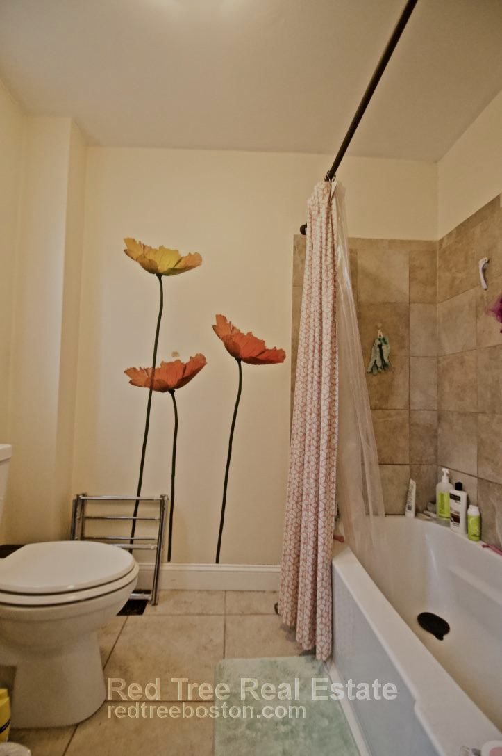 201 Hillside St, Mission Hill