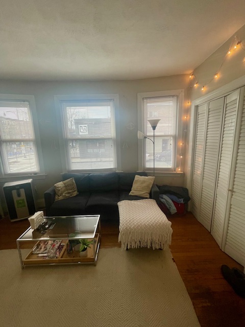 2 bed, 1 bath apartment for rent at 100 Saint Mary's St Unit 2, Fenway — photo 9 of 15