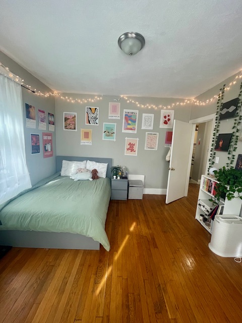 2 bed, 1 bath apartment for rent at 100 Saint Mary's St Unit 2, Fenway — photo 11 of 15