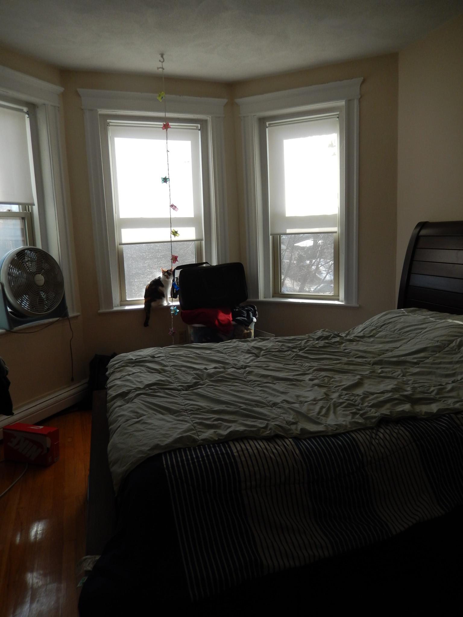 1625 Commonwealth Ave, Brighton