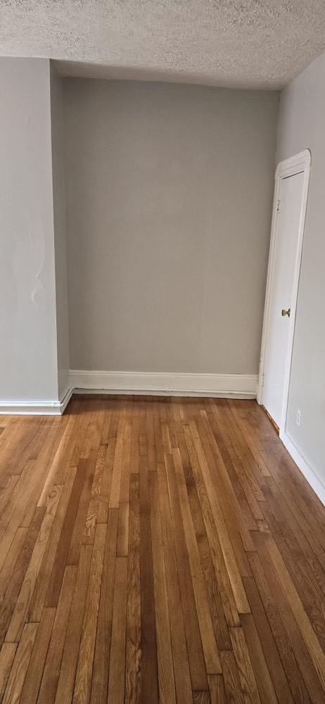 41 Anderson St, Beacon Hill