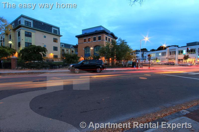 7 Cameron Ave, Davis Square