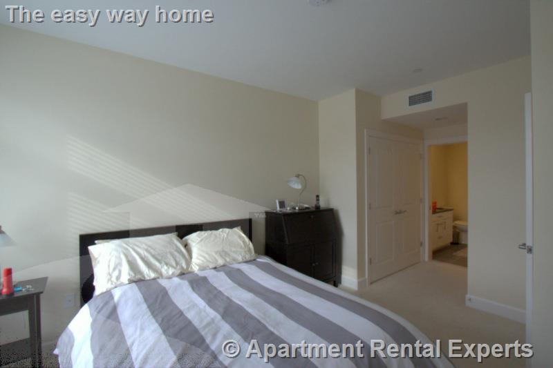 7 Cameron Ave, Davis Square