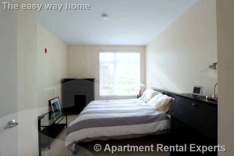 7 Cameron Ave, Davis Square