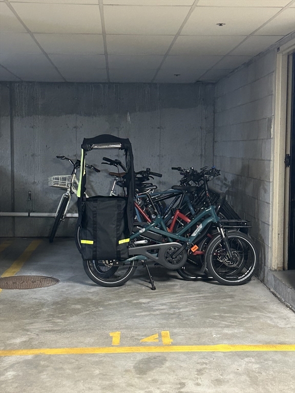 318 Rindge Ave, North Cambridge