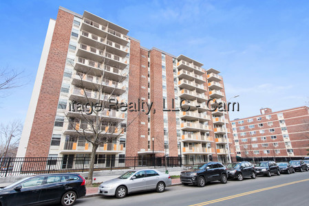 1 bed, 1 bath apartment for rent at 295 Harvard St Unit 1011, Central Square — photo 1 of 12