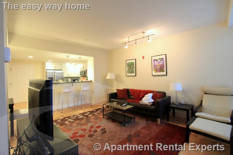 7 Cameron Ave, Davis Square