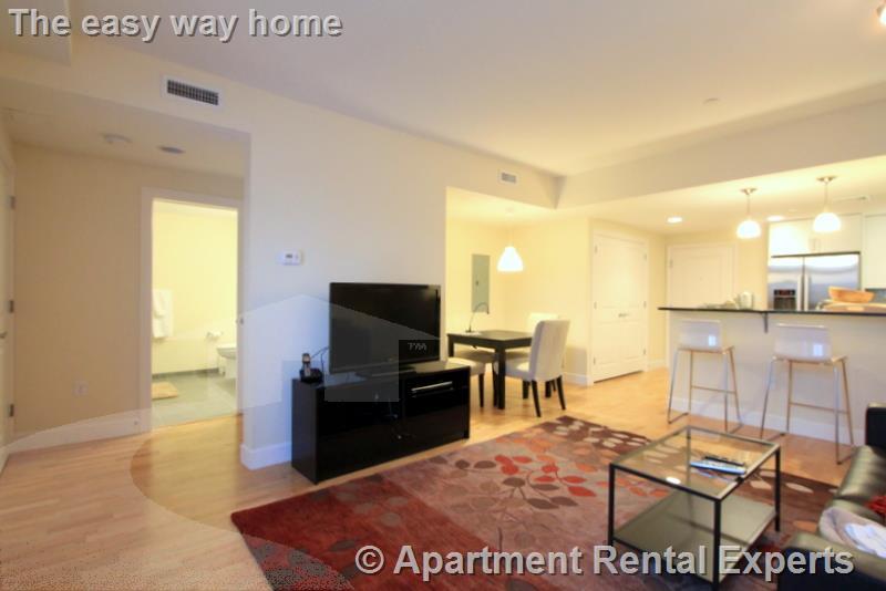 7 Cameron Ave, Davis Square