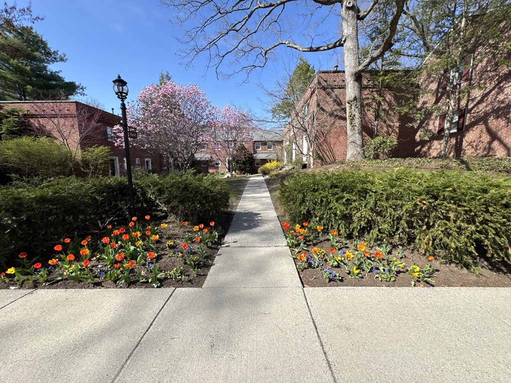 531 Vfw Pkwa, Chestnut Hill