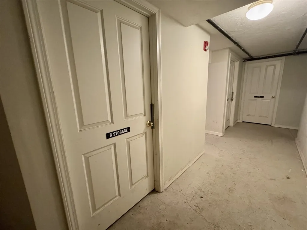 81 Westminster Ave, Roxbury