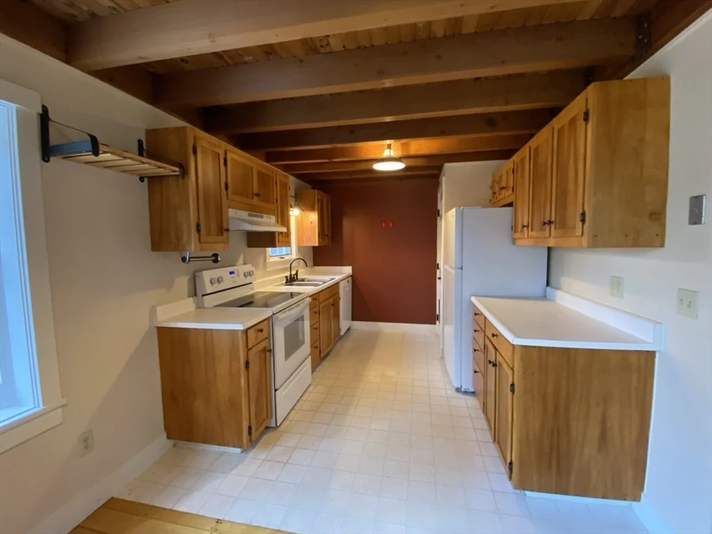 55 Montague, Sunderland