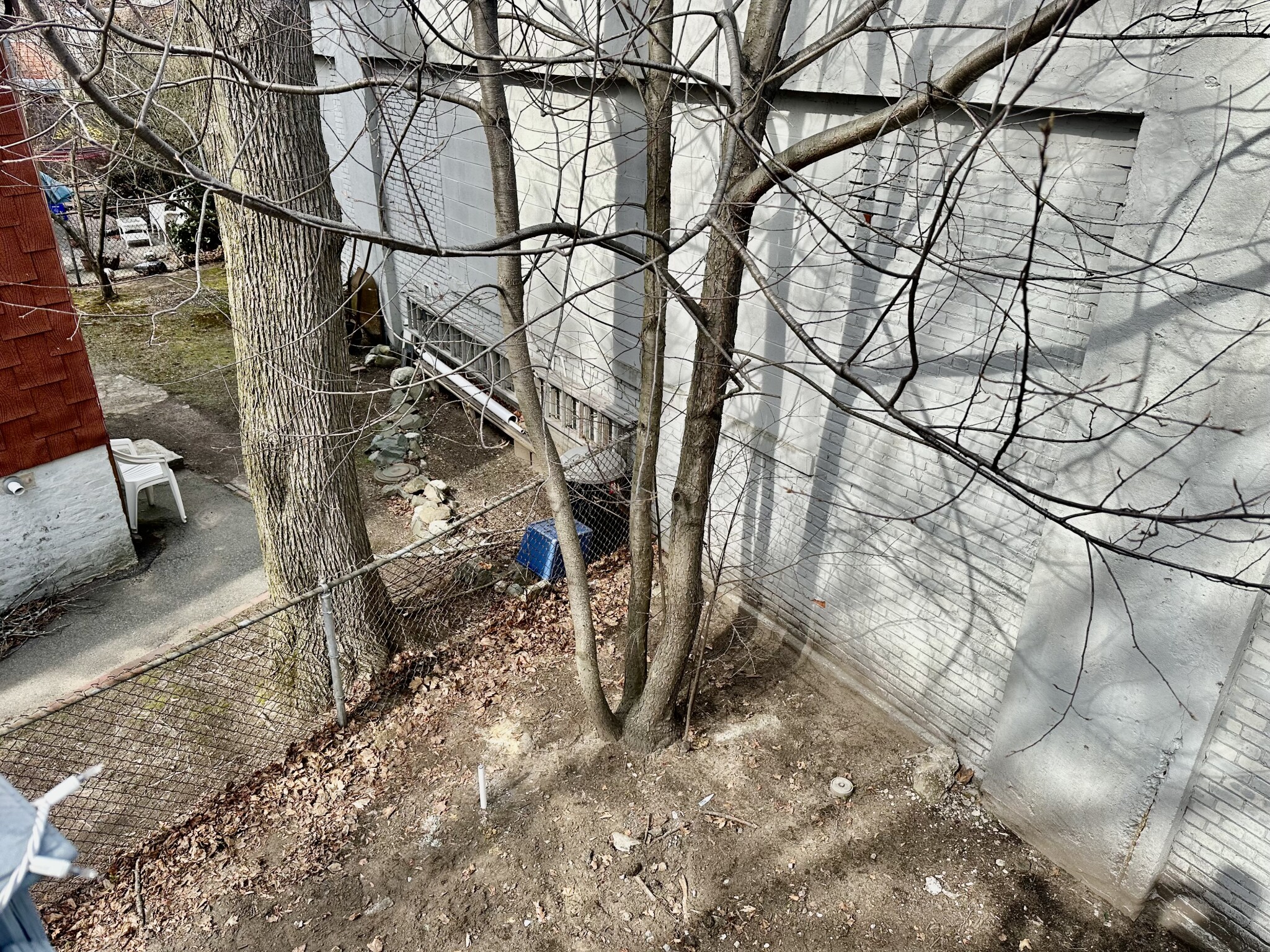 97 Dover St, Davis Square