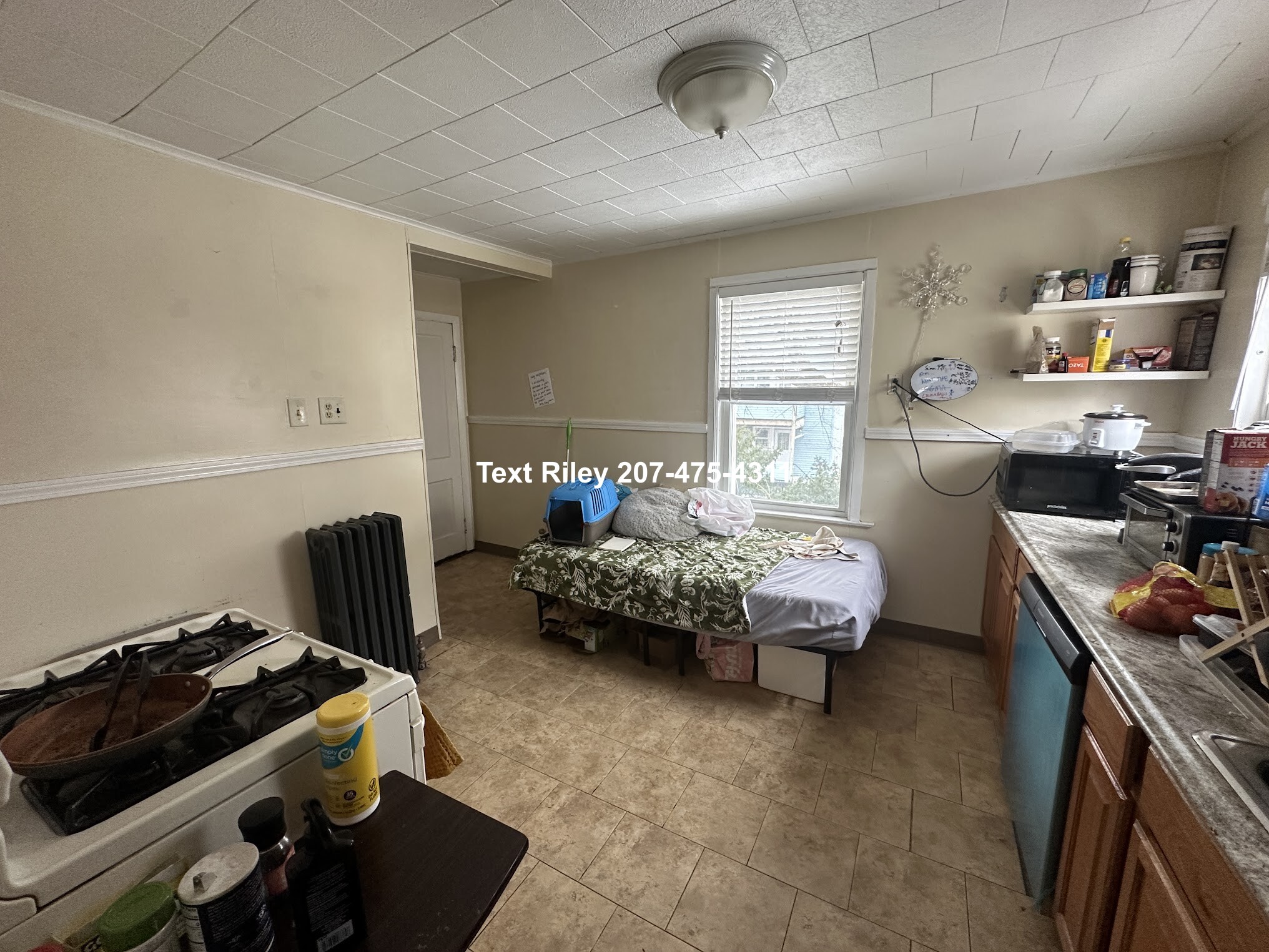 62 Brock St, Oak Square