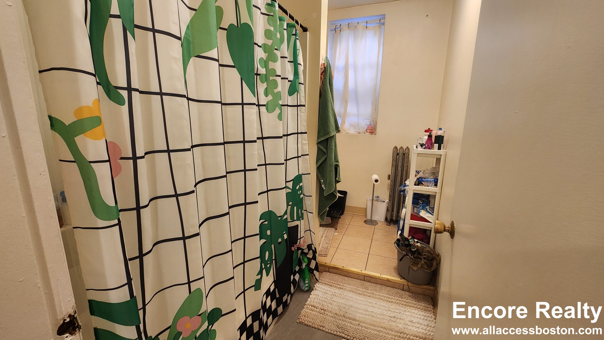 19 Aberdeen St, Fenway