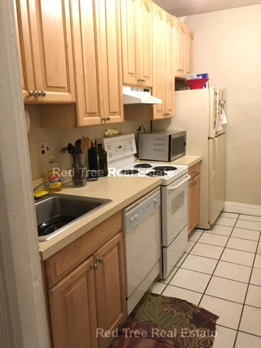 31 Orkney Rd, Brighton