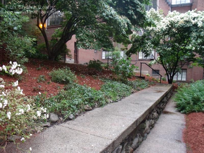 1 bed, 1 bath apartment for rent at 97 Strathmore Rd Unit 10, Brighton — photo 13 of 14