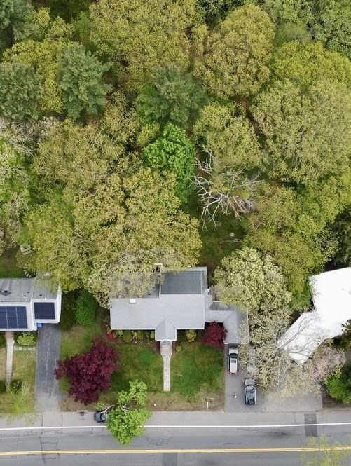 379 Newton St, Chestnut Hill