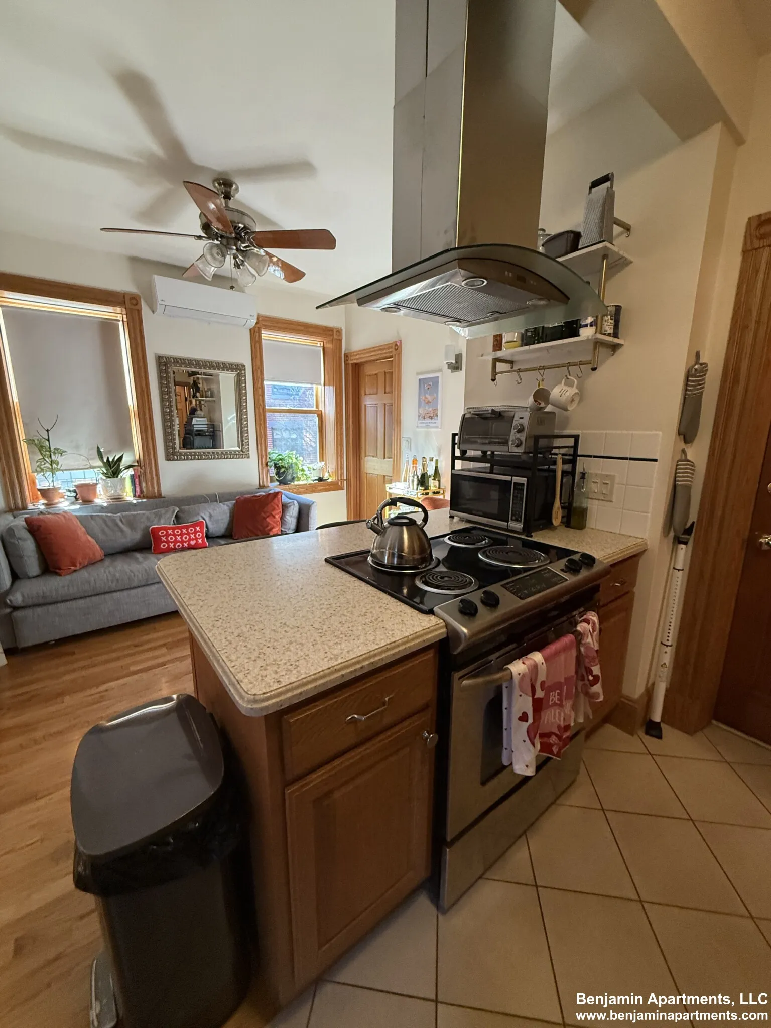 97 Myrtle St, Beacon Hill