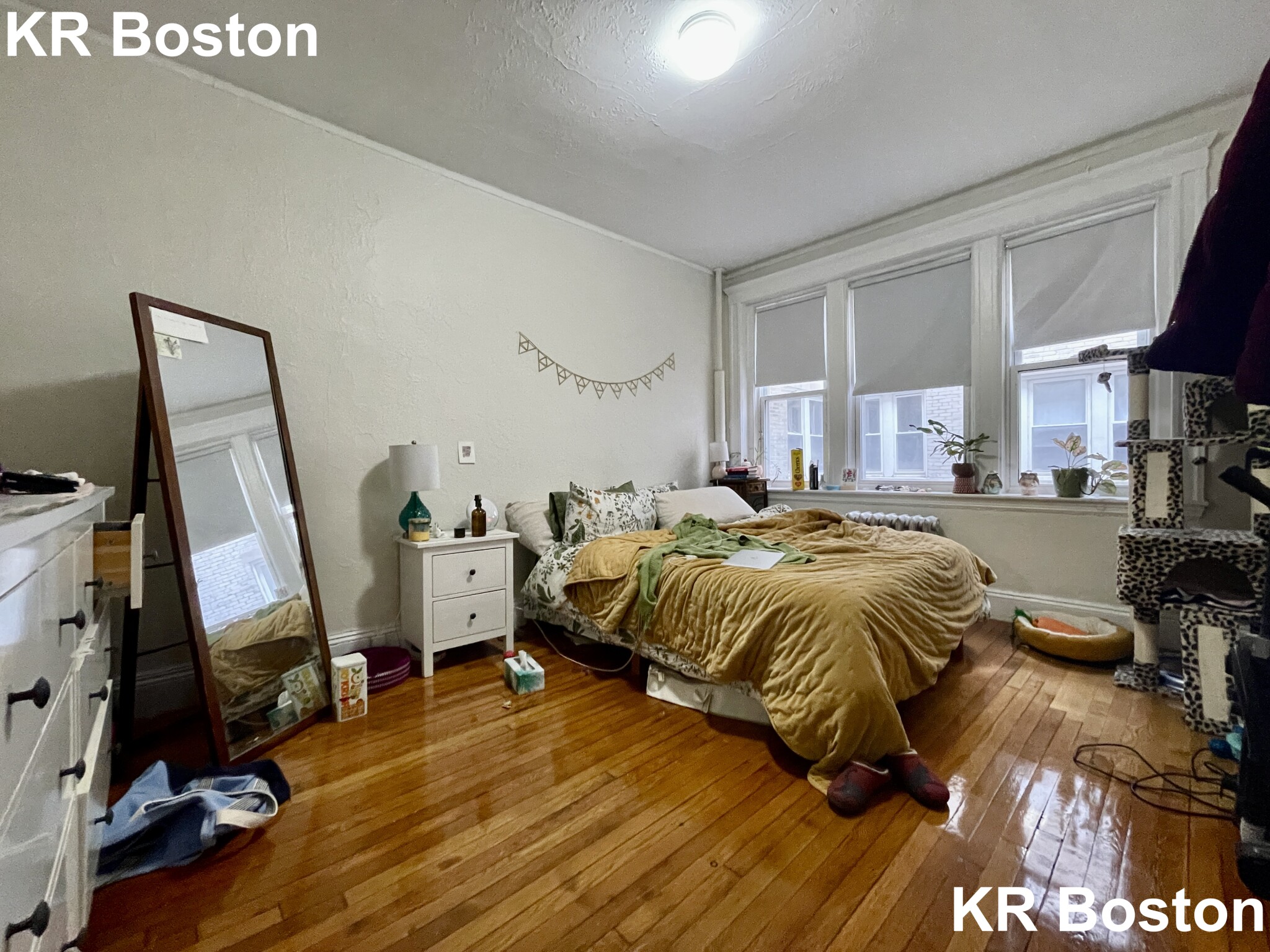 1 bed, 1 bath apartment for rent at 1171 Boylston St Unit 6, Fenway — photo 1 of 3