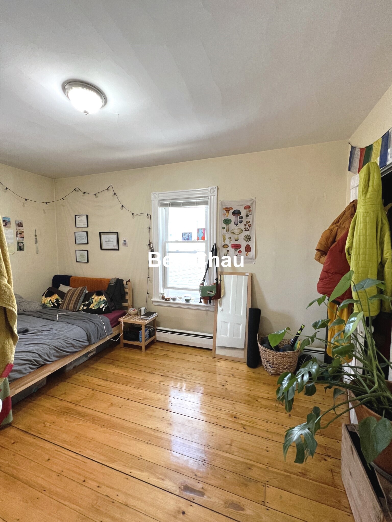 2 Gilson Ter, Spring Hill