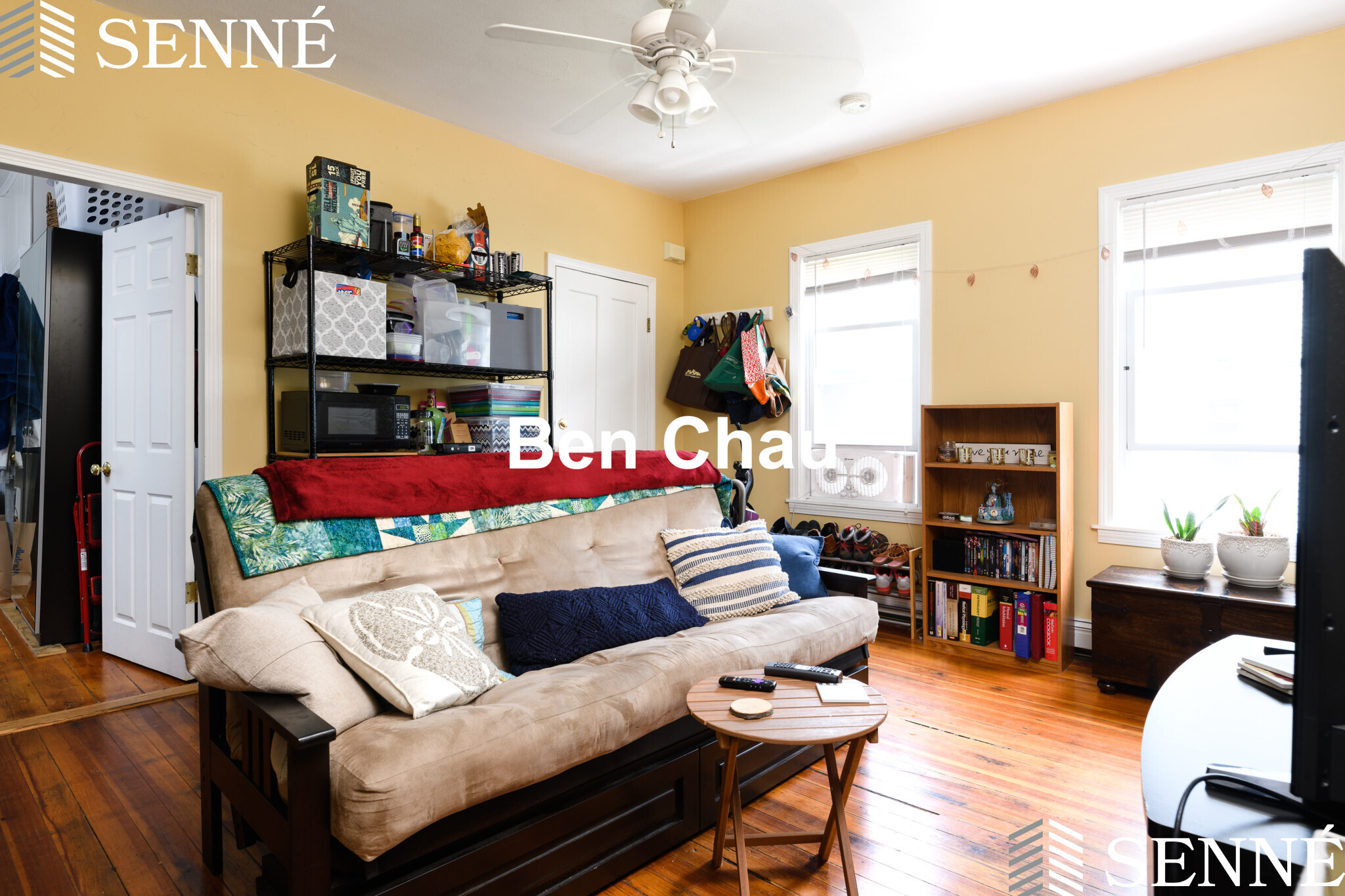 20 Bristol St, Wellington-Harrington