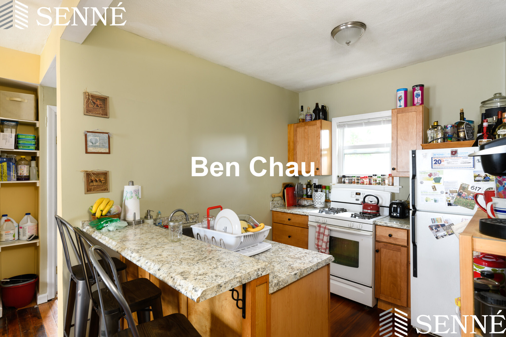 20 Bristol St, Wellington-Harrington