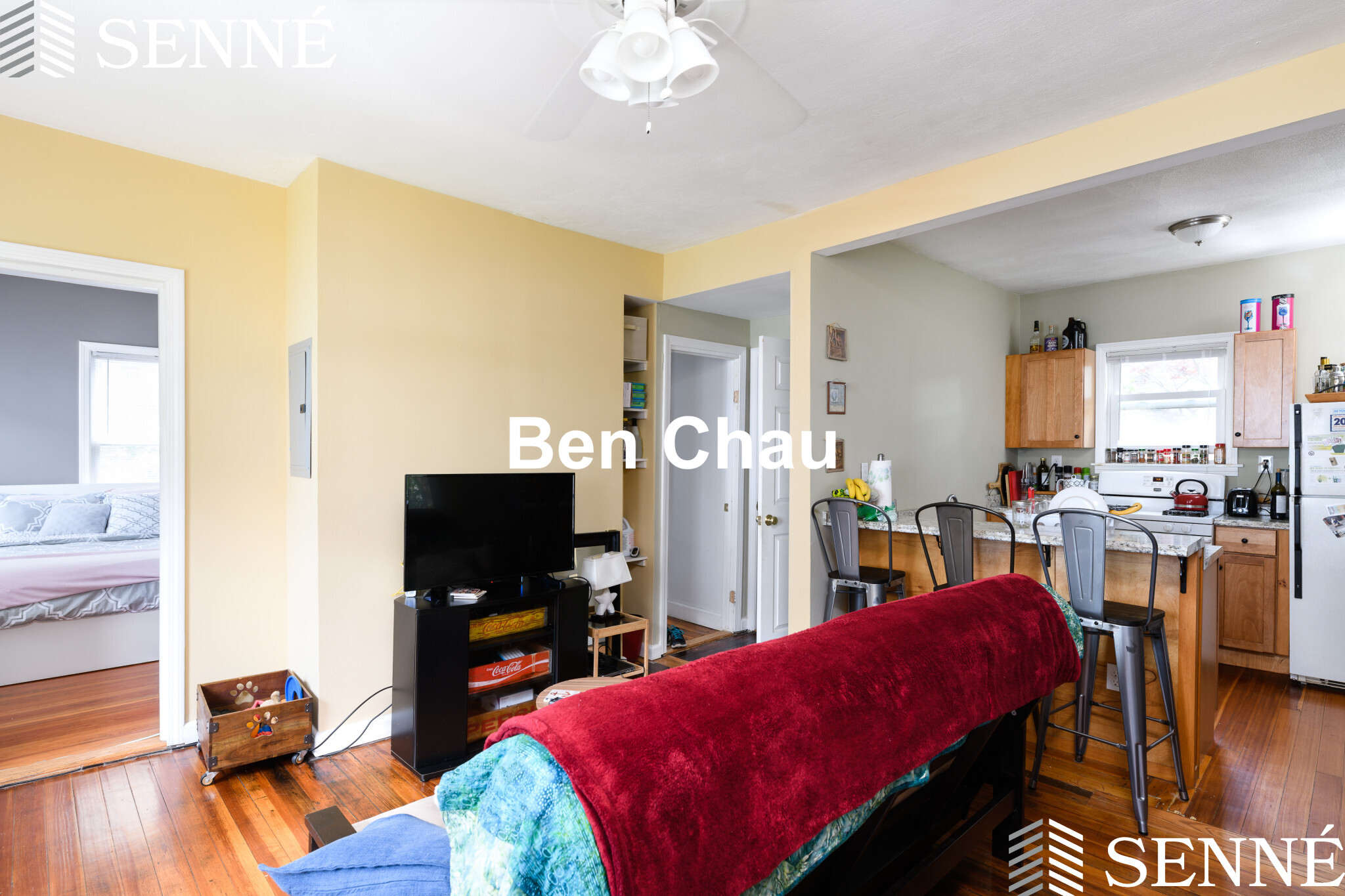 20 Bristol St, Wellington-Harrington