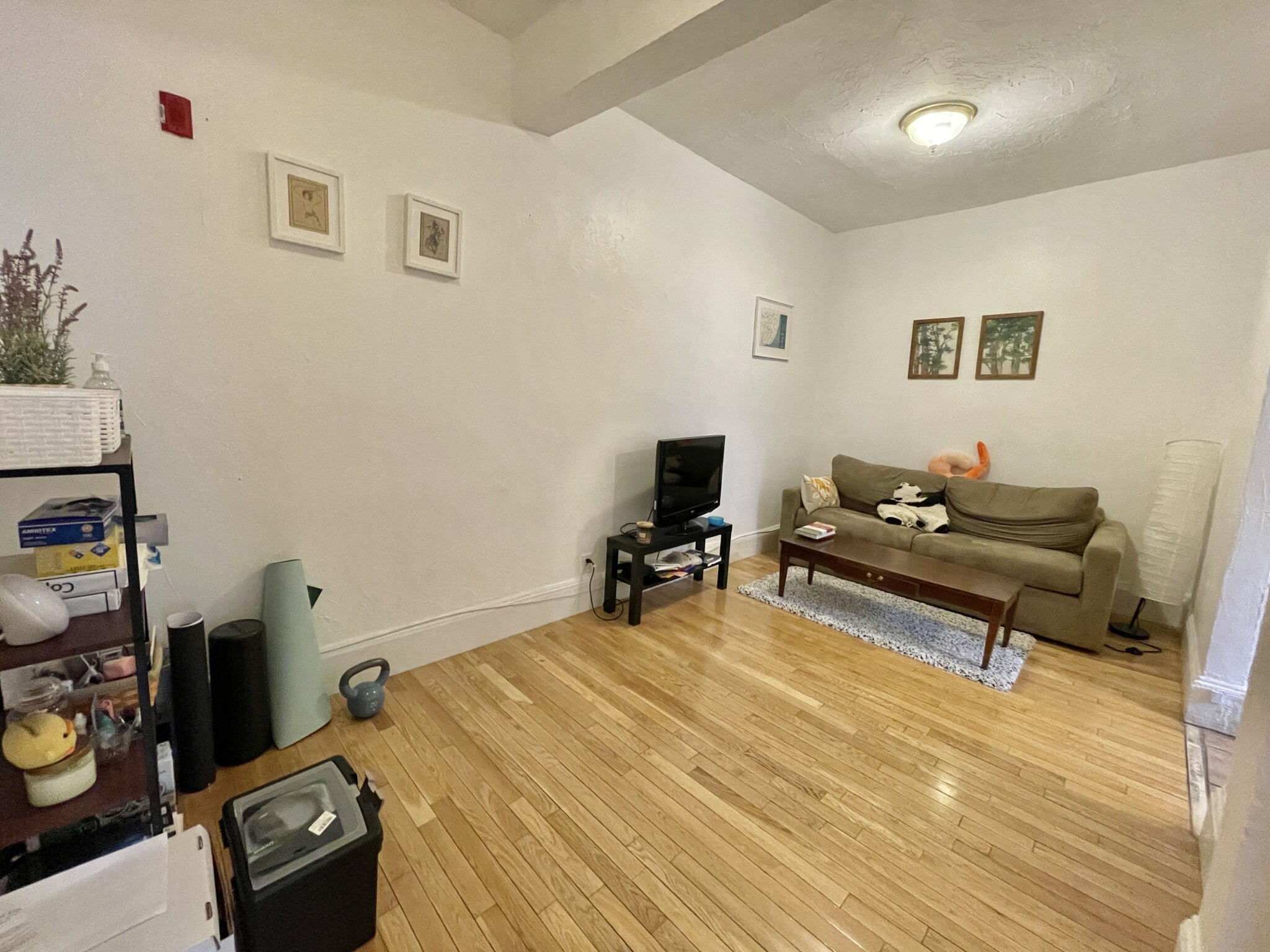 1 bed, 1 bath apartment for rent at 235 Harvard Ave Unit 4, Allston — photo 36 of 61