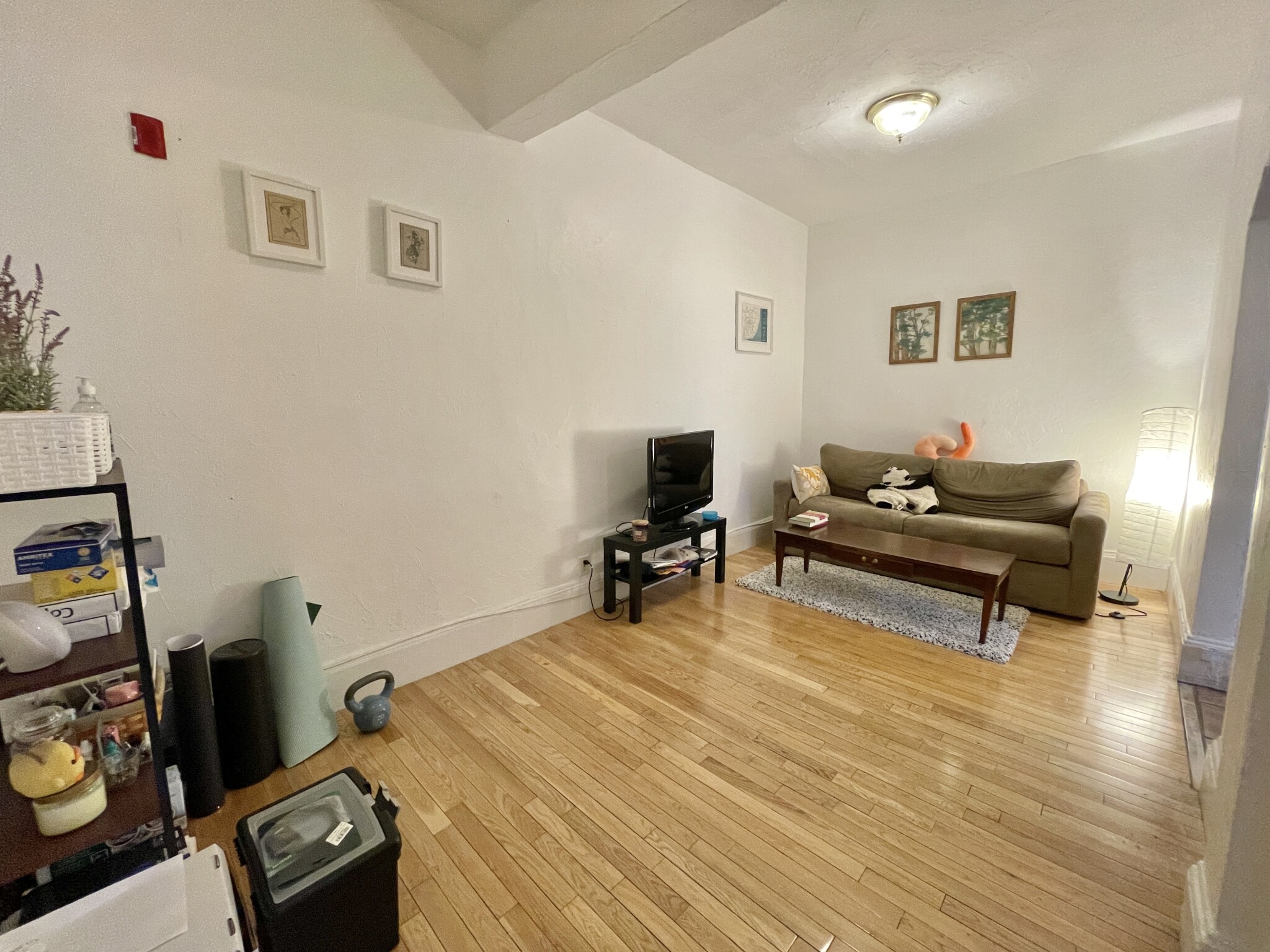 1 bed, 1 bath apartment for rent at 235 Harvard Ave Unit 4, Allston — photo 40 of 61